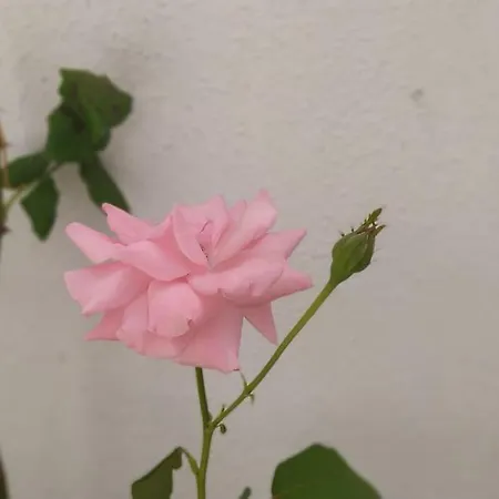 La Dimora Del Viaggiatore *