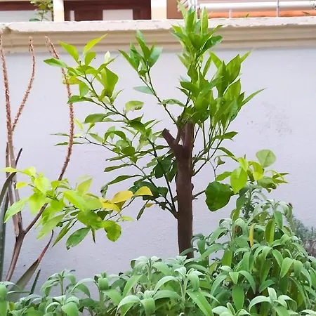 La Dimora Del Viaggiatore Alghero