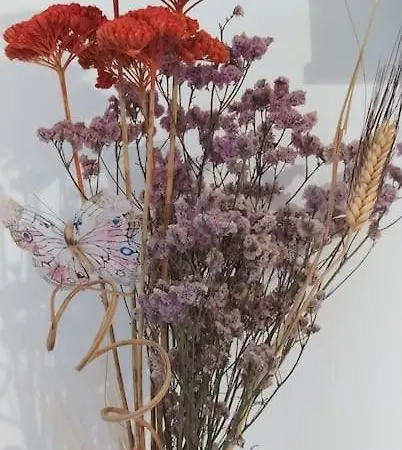 La Dimora Del Viaggiatore